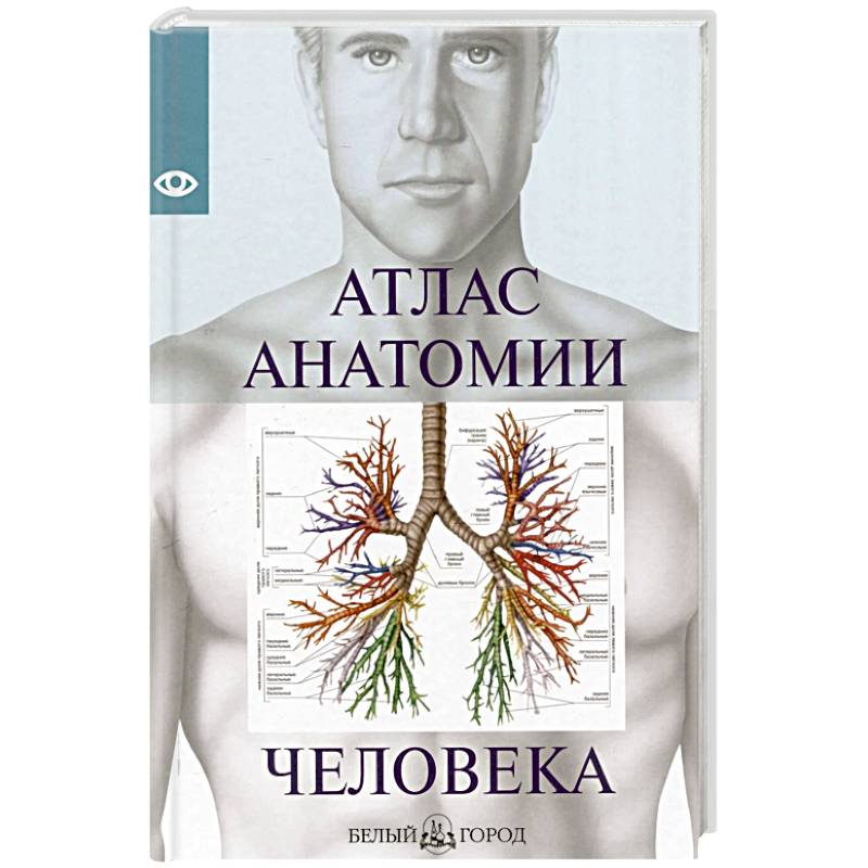 Атлас анатомии человека