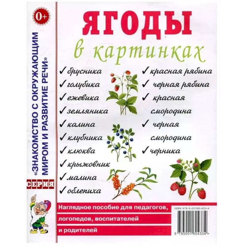 Ягоды в картинках. Наглядное пособие для педагогов, воспитателей, логопедов, родителей