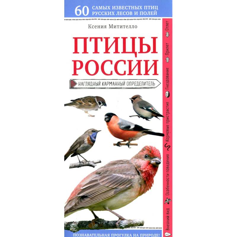 Птицы России. Наглядный карманный определитель Птицы России. Наглядный карманный определитель