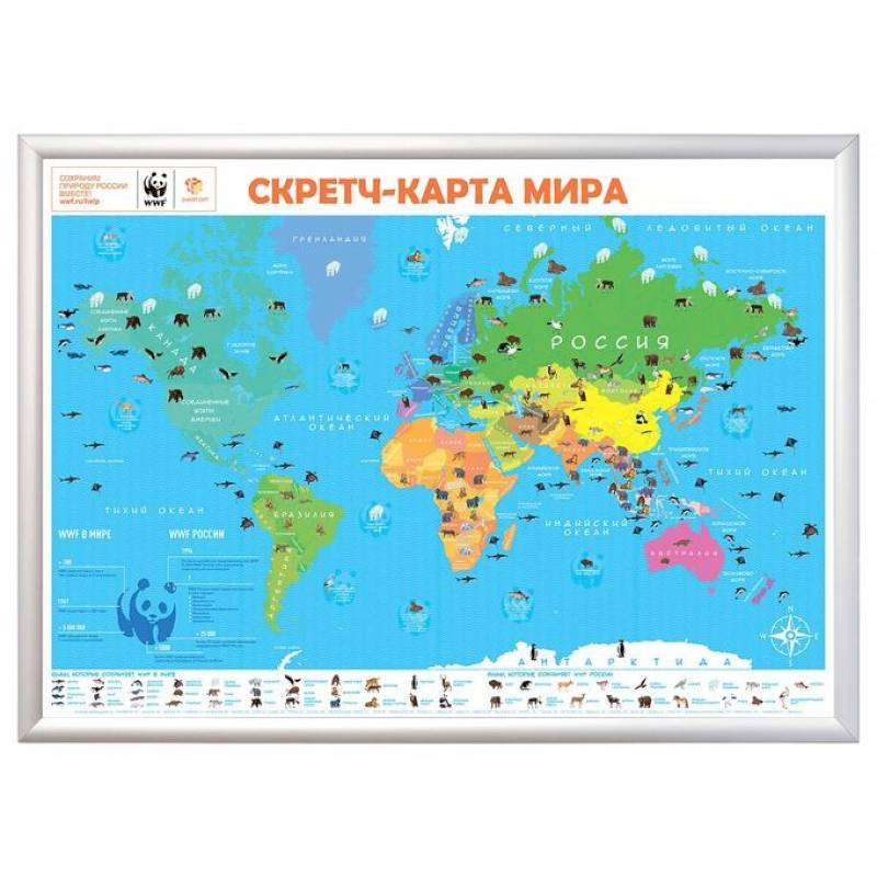 Скретч-карта мира 'WWF'