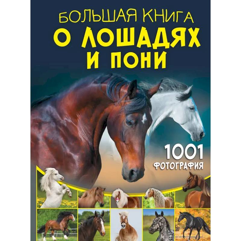 Большая книга о лошадях и пони. 1001 фотография Большая книга о лошадях и пони. 1001 фотография