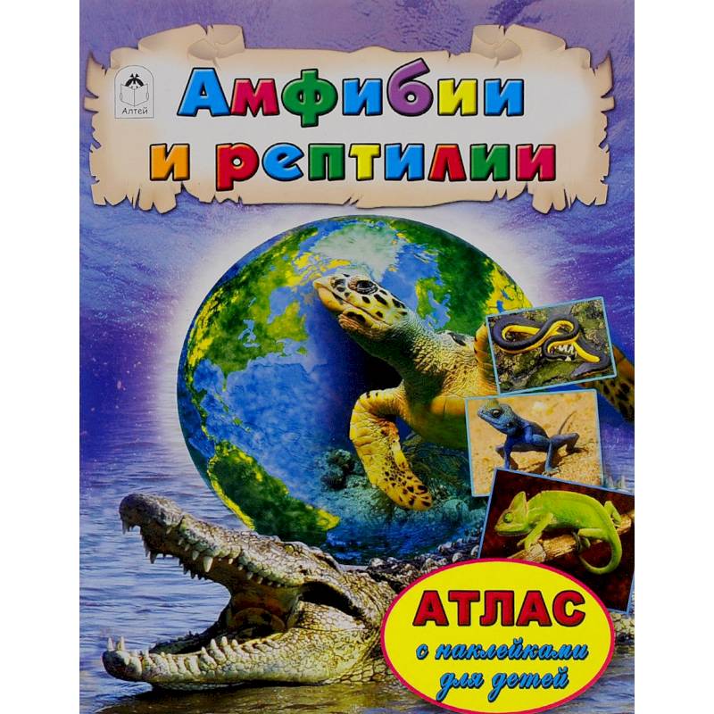 Амфибии и рептилии