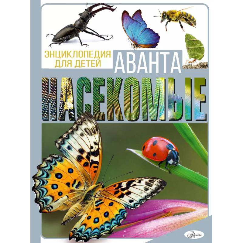 Насекомые Насекомые