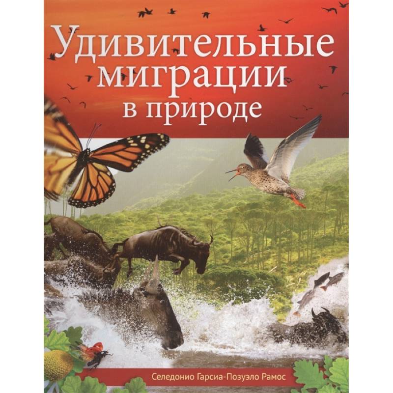 Удивительные миграции в природе Удивительные миграции в природе