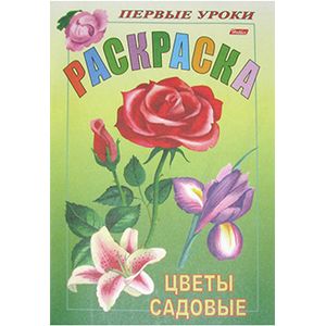 Цветы садовые Цветы садовые