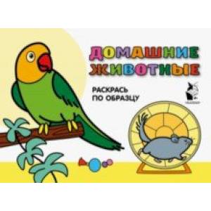 Домашние животные. Раскрась по образцу