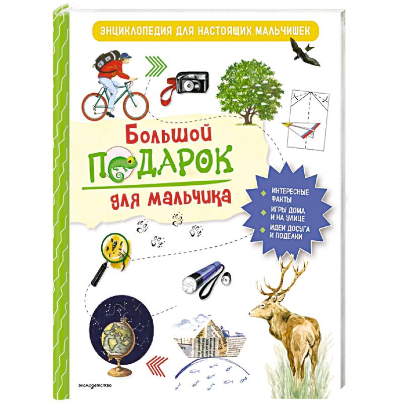 Большой подарок для мальчика. Энциклопедия для настоящих мальчишек