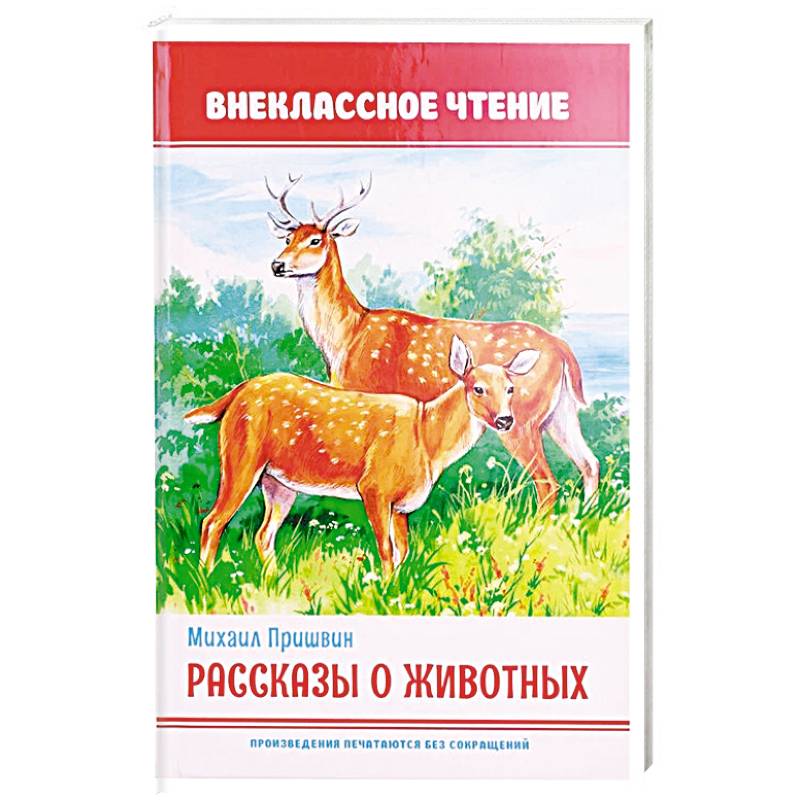 Произведения о животных и природе 3 класс. Рассказы о животных. Авторы рассказов о животных. Рассказы о животных обложка. Рассказ про зверей.