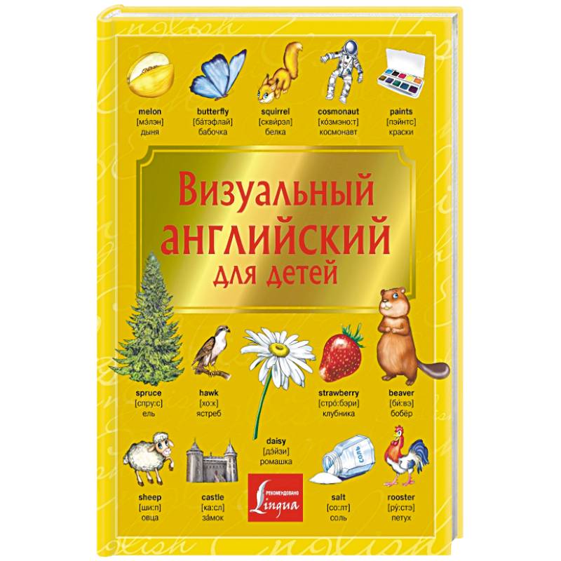 Визуальный английский для детей Визуальный английский для детей