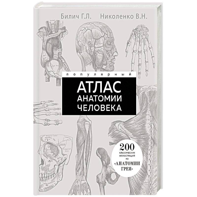Популярный атлас анатомии человека. 200 классических иллюстраций из «Анатомии Грея» Популярный атлас анатомии человека. 200 классических иллюстраций из «Анатомии Грея»