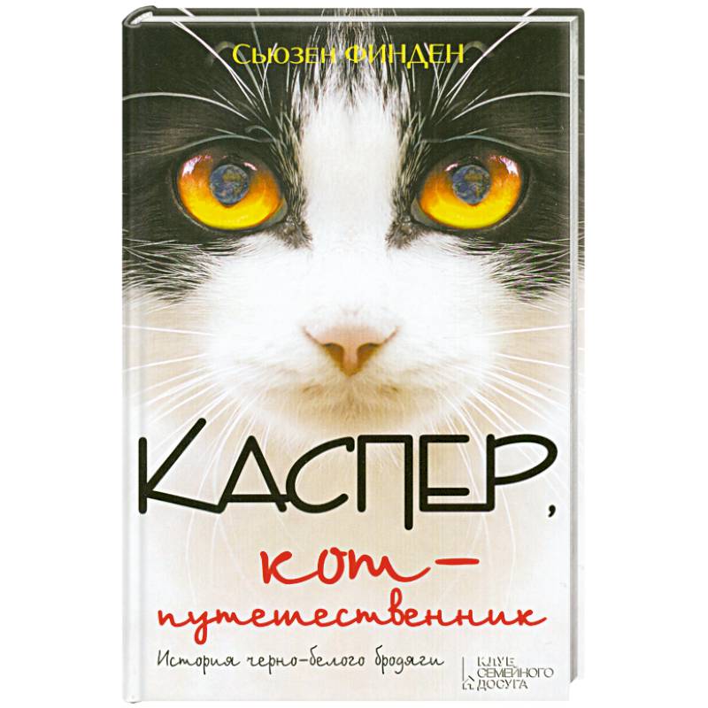 Каспер, кот-путешественник