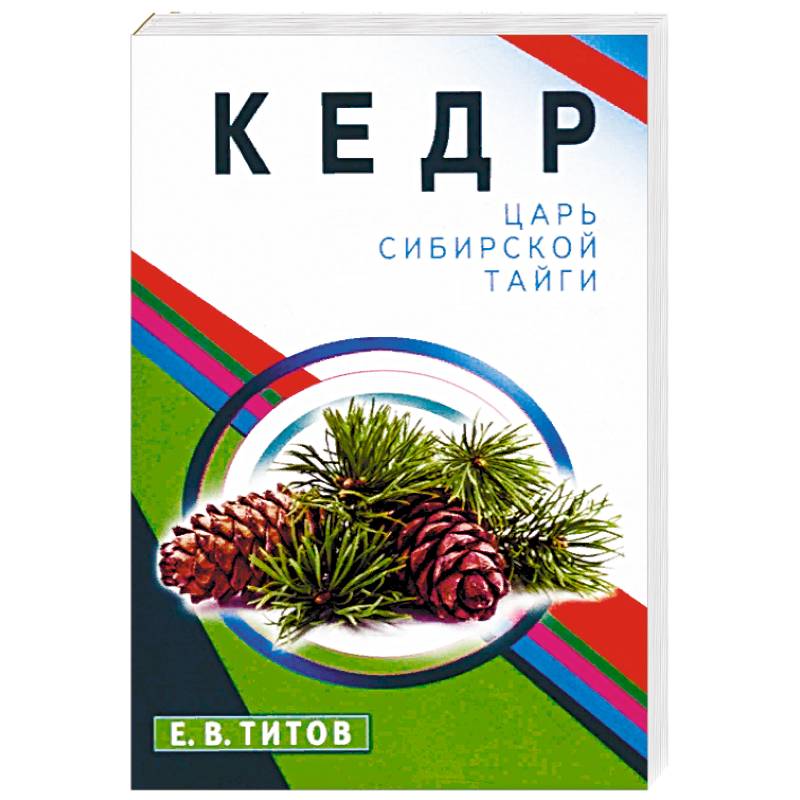 Кедр-царь сибирской тайги Кедр-царь сибирской тайги