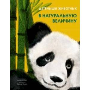 Детёныши животных в натуральную величину Детёныши животных в натуральную величину