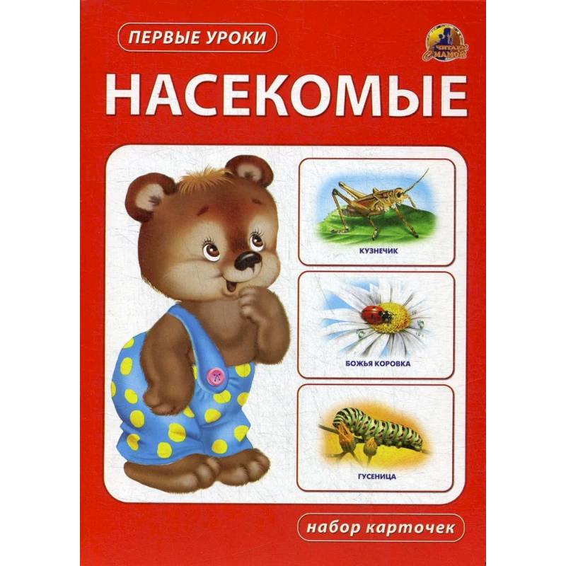 Насекомые. Набор карточек Насекомые. Набор карточек