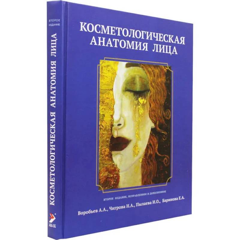 Косметологическая анатомия лица Косметологическая анатомия лица