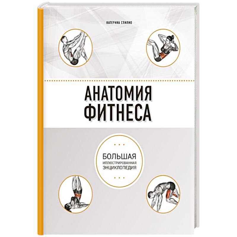 Анатомия фитнеса Анатомия фитнеса