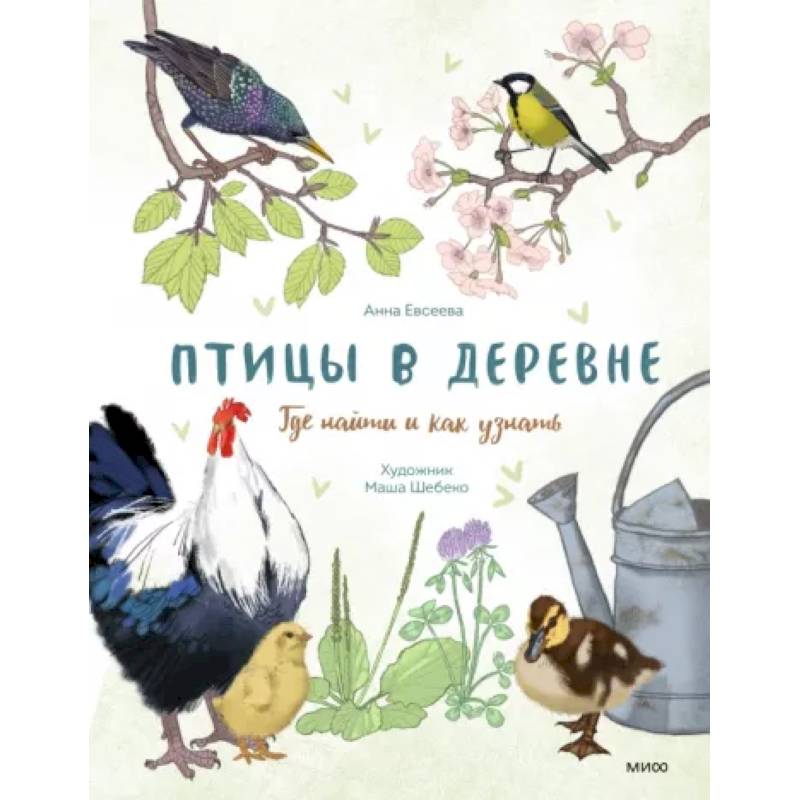 Птицы в деревне. Где найти и как узнать Птицы в деревне. Где найти и как узнать