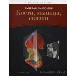 Лучевая анатомия. Кости, мышцы, связки Лучевая анатомия. Кости, мышцы, связки