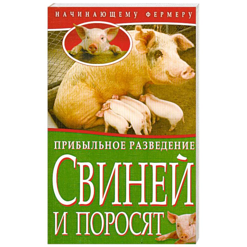 Прибыльное разведение свиней и поросят