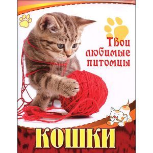 Кошки Кошки