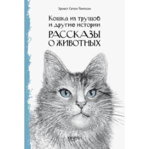 Кошка из трущоб и другие истории