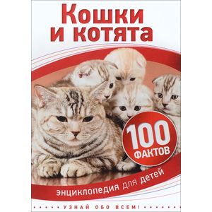 Кошки и котята 6+