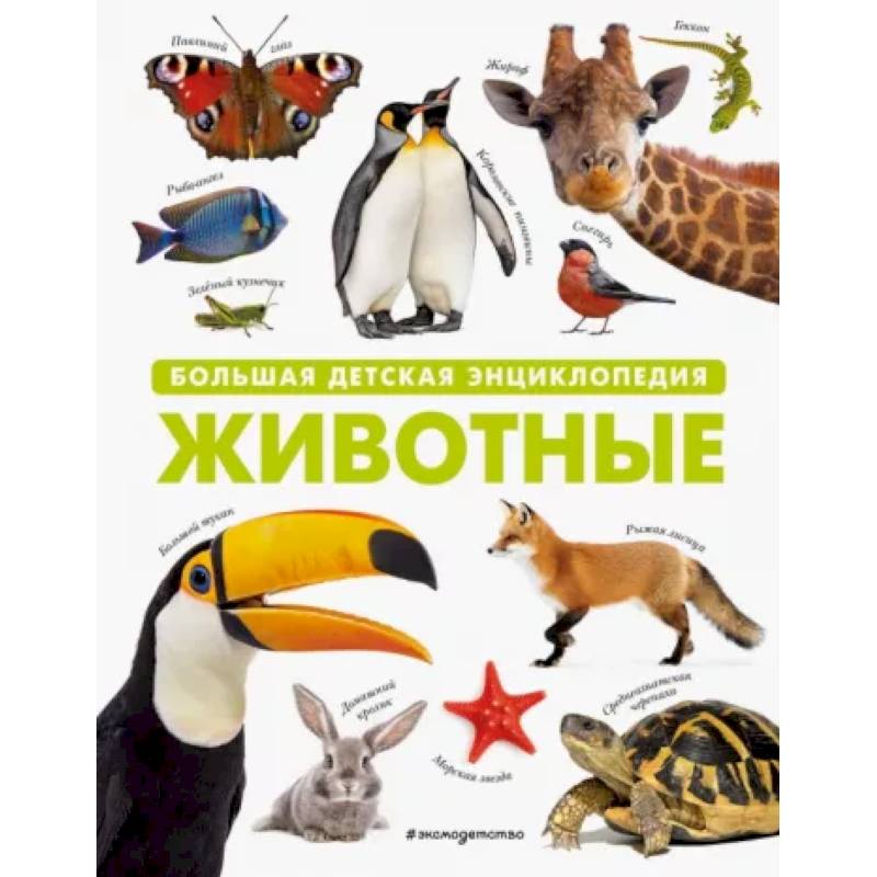 Животные. Большая детская энциклопедия Животные. Большая детская энциклопедия