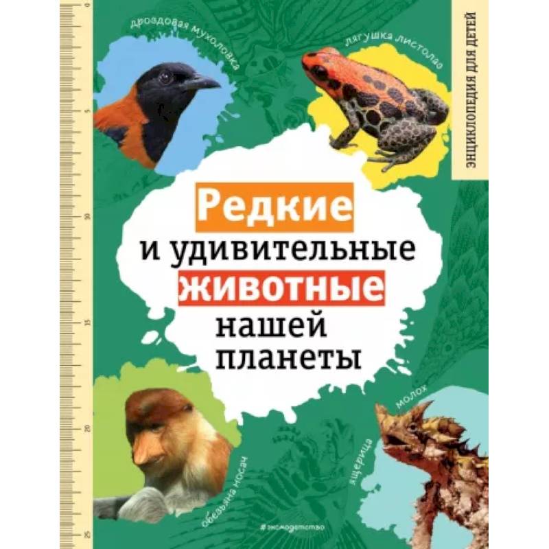 Редкие и удивительные животные нашей планеты Редкие и удивительные животные нашей планеты