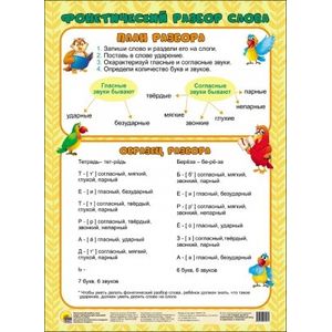 Фонетический разбор слова Фонетический разбор слова