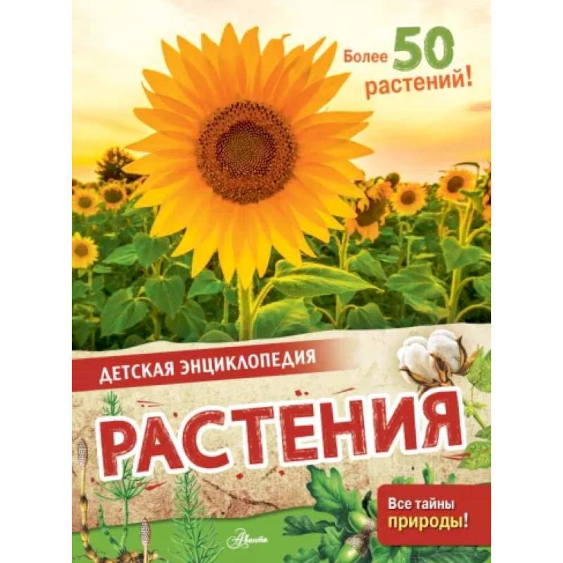 Растения Растения