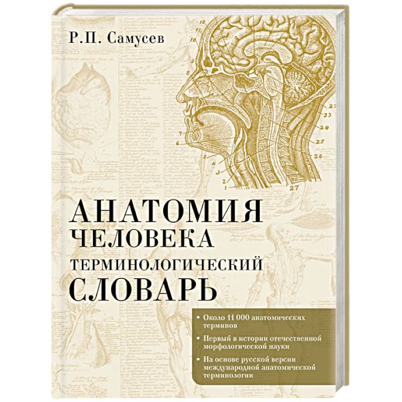 Анатомия человека.Терминологический словарь Анатомия человека.Терминологический словарь