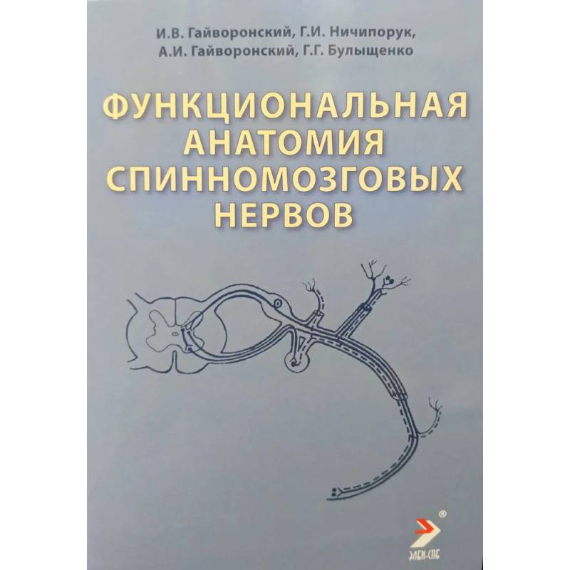 Функциональная анатомия спинномозговых нервов: Учебное пособие Функциональная анатомия спинномозговых нервов: Учебное пособие