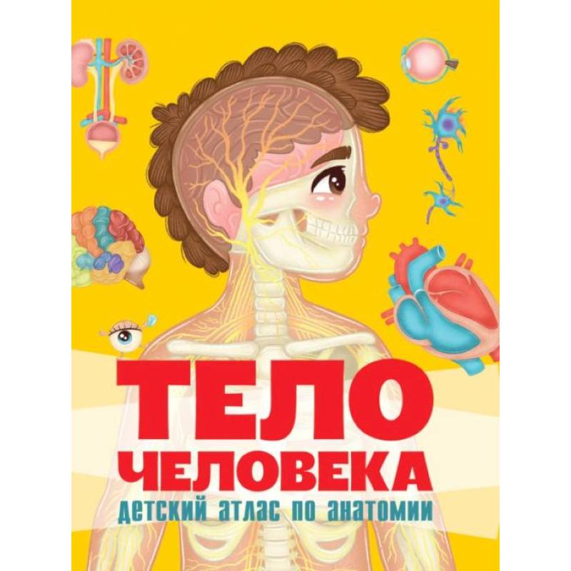 Тело человека. Детский атлас по анатомии Тело человека. Детский атлас по анатомии
