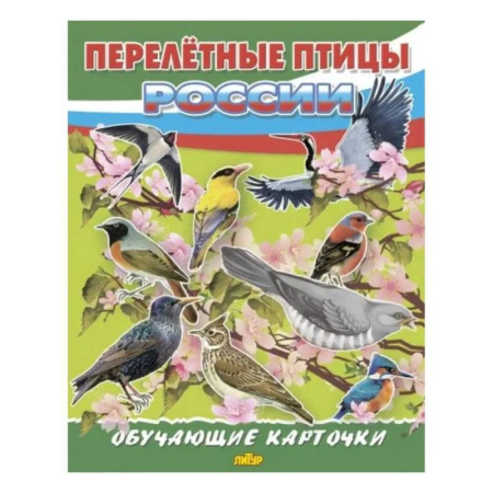 Животный и растительный мир, книга Перелетные птицы России купить по скидке