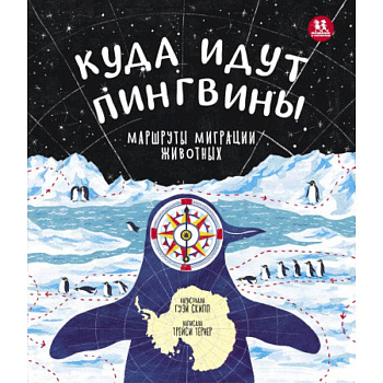 Куда идут пингвины:маршруты миграции животных Куда идут пингвины:маршруты миграции животных
