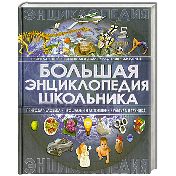 Большая энциклопедия школьника