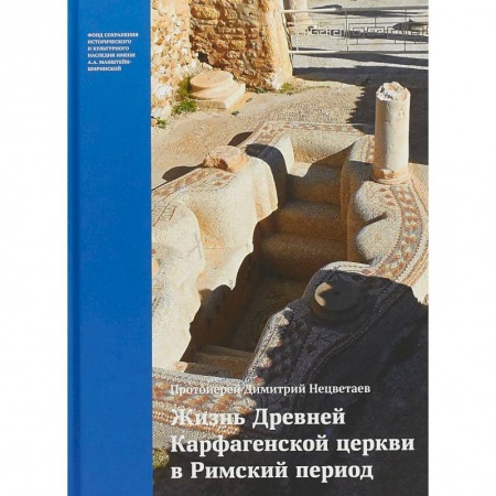 Религиоведение. История религий, книга Жизнь Древней Карфагенской церкви в Римский период купить по скидке