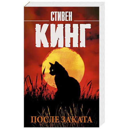 Мистика, ужасы, книга После заката купить по скидке