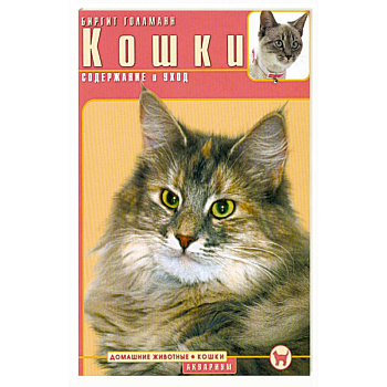 Кошки. Содержание и уход