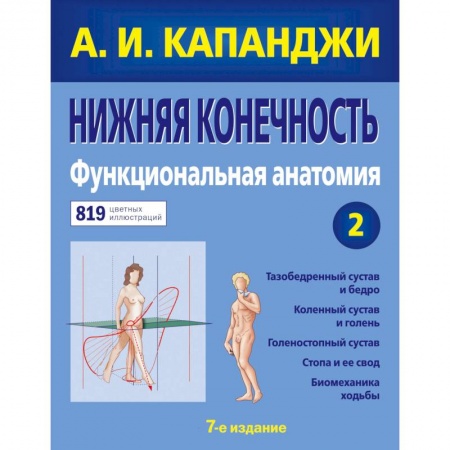 Другие виды специальной медицины, книга Нижняя конечность. Функциональная анатомия (обновленное издание) купить по скидке