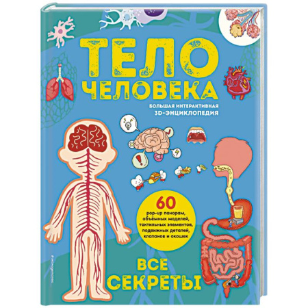 Этикет. Внешность.Гигиена. Личная безопасность, книга Тело человека. Все секреты. Большая интерактивная 3D-энциклопедия купить по скидке