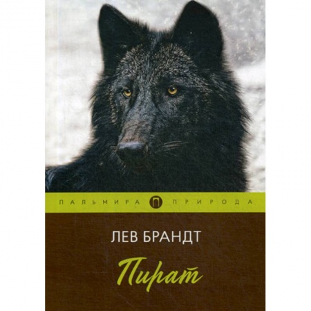 Русская современная проза, книга Пират купить по скидке