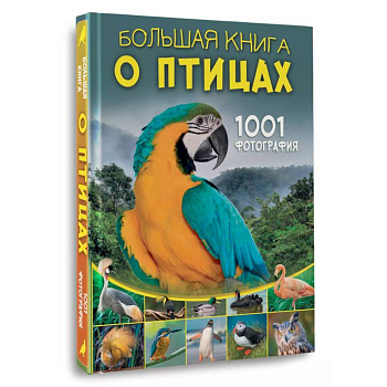 Большая книга о птицах. 1001 фотография Большая книга о птицах. 1001 фотография