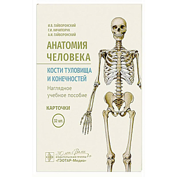 Анатомия человека. Кости туловища и конечностей. Карточки: Наглядное учебное пособие Анатомия человека. Кости туловища и конечностей. Карточки: Наглядное учебное пособие