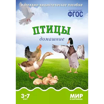 Птицы перелетные: Наглядно-дидактическое пособие Птицы перелетные: Наглядно-дидактическое пособие