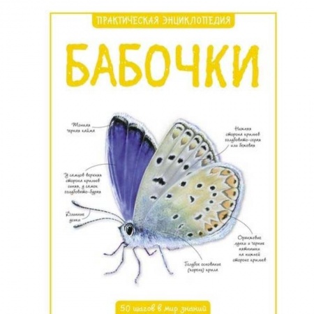 Животный и растительный мир, книга Бабочки. Практическая энциклопедия купить по скидке