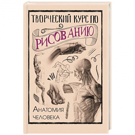 Книги, книга Творческий курс по рисованию. Анатомия человека купить по скидке