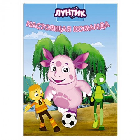 Книги для дошкольников (4-6 лет), книга Лунтик. Настоящая команда купить по скидке