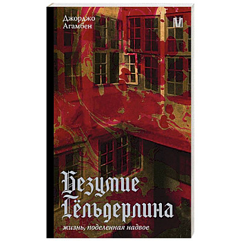 Безумие Гёльдерлина. Жизнь, поделенная надвое