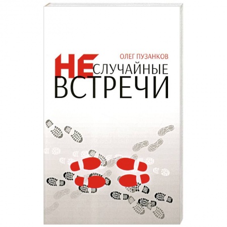 Духовная литература, книга Неслучайные встречи купить по скидке